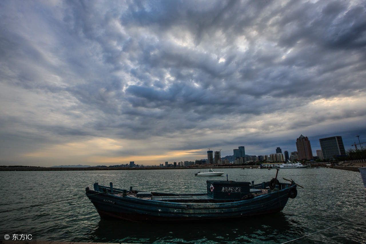 小小礼仪,小小礼仪完整版