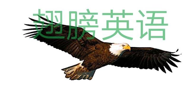 100句实用的口语,惊艳的口语