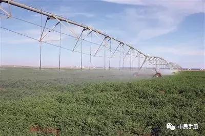 圣牧高科全程有机奶,圣牧高科天赋之旅