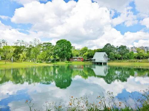 深圳花海景区推荐图片大全,深圳哪里有大片花海