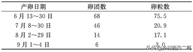 农业部对人工养殖牛蛙的最新规定,养殖牛蛙跟公司合作模式