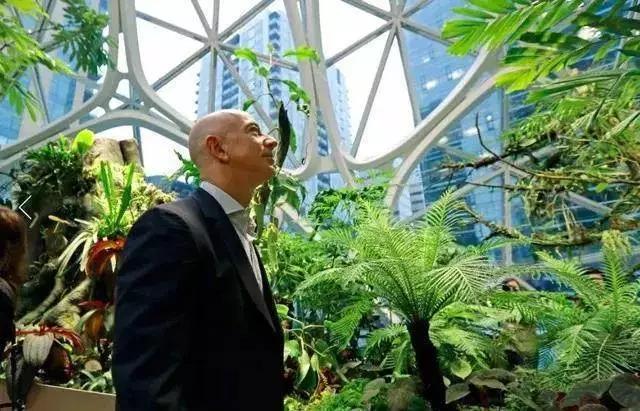 别人的办公室总是不会让我失望！这里工作太爽了
