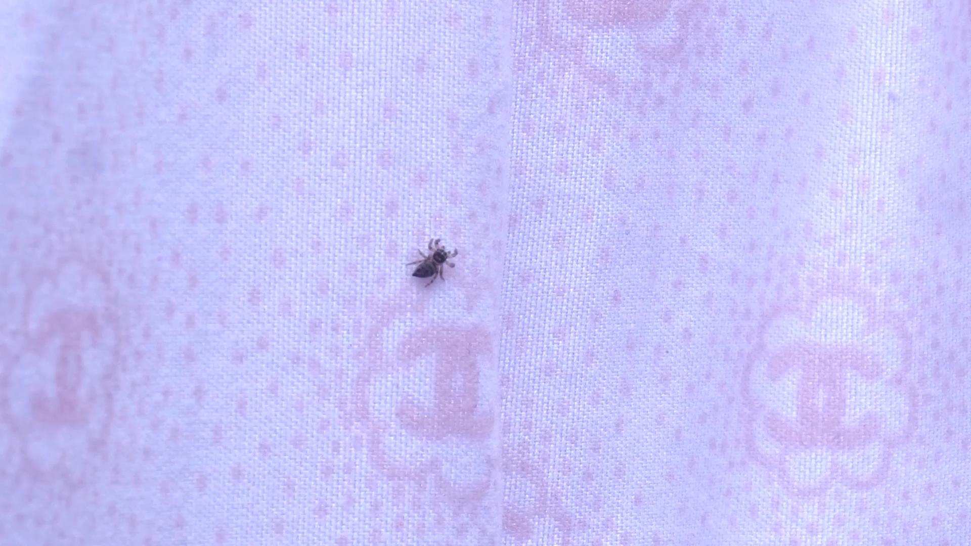 简易烘干机干衣和除湿机干衣区别,湿衣服烘干机家用全自动速干