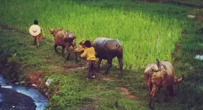 失孤儿子的真实事件,失孤真实故事找到孩子了吗