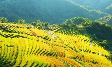 梧州江口网红打卡景点,梧州长洲岛网红打卡景点