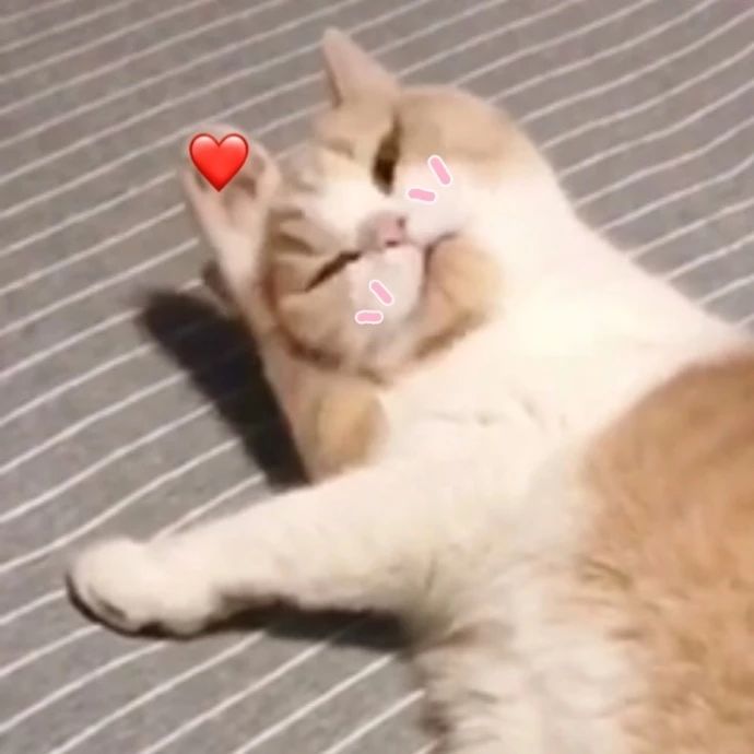 她把脱衣舞跳成艺术被称为世界首席脱衣舞娘，她就是性感的最高级