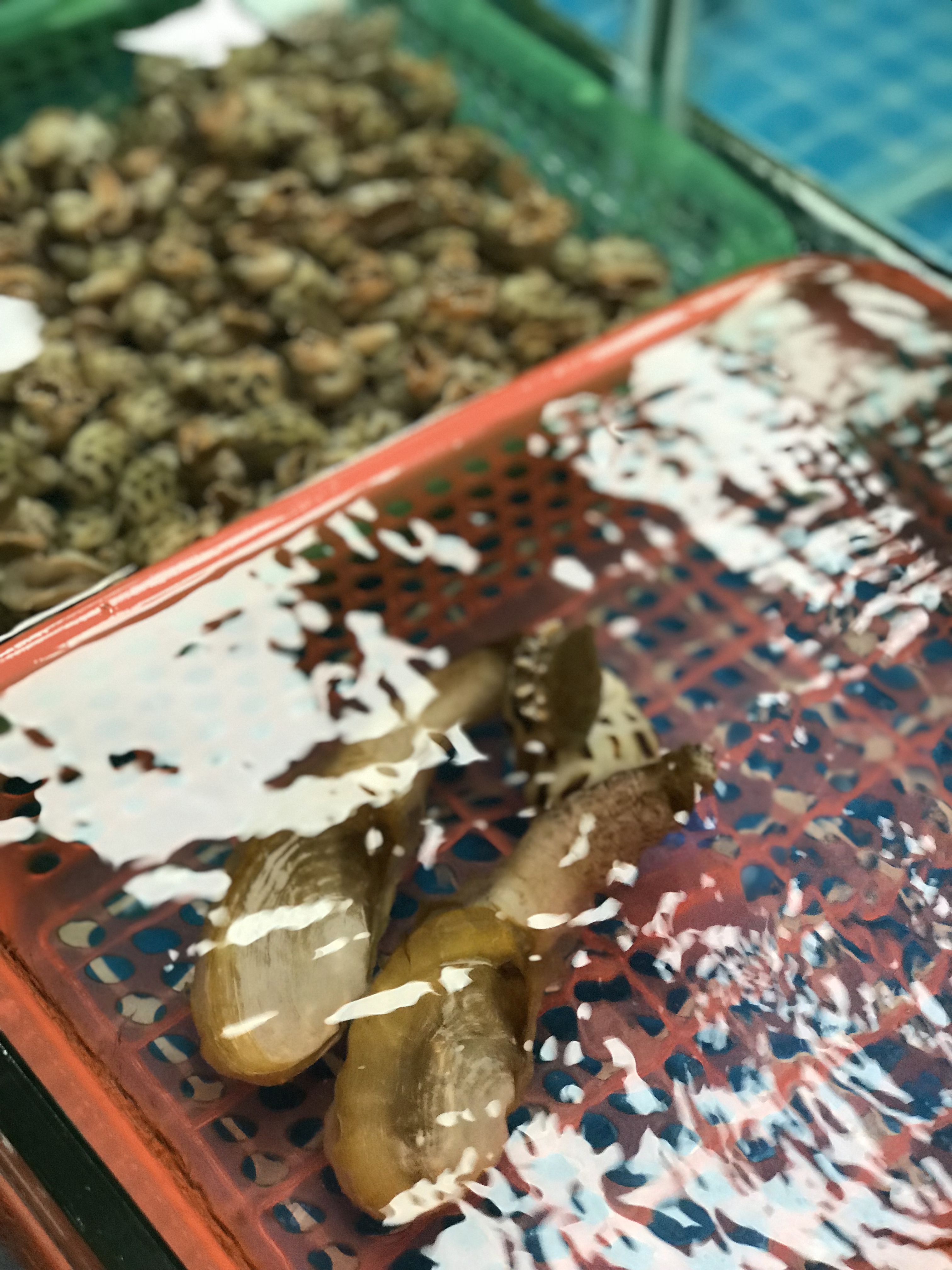 来来海鲜，旧店迁新址，老板直说我们家的菜都好吃，来过都想再来