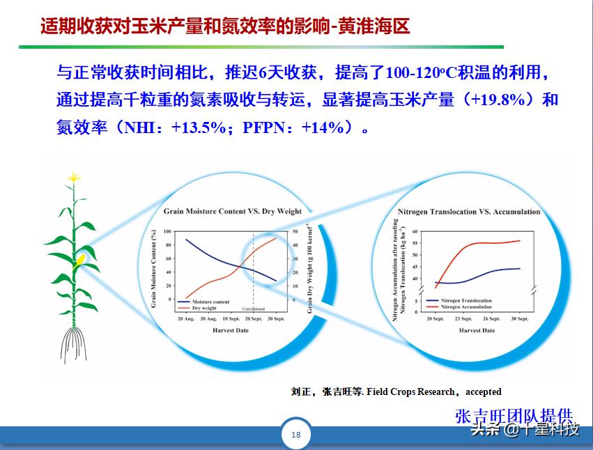 玉米一次性施肥科学吗,玉米怎样施肥科学