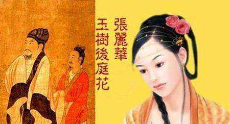 “华林园绝响”之南京篇：隔江犹唱后庭花