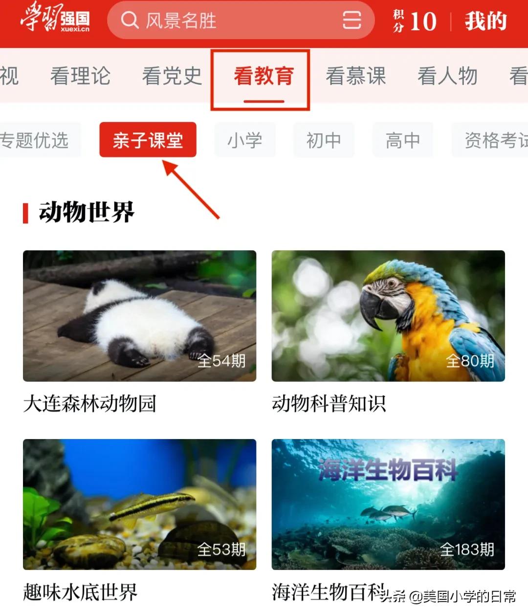 学习强国app的内容有什么,学习强国app可以学到哪些知识