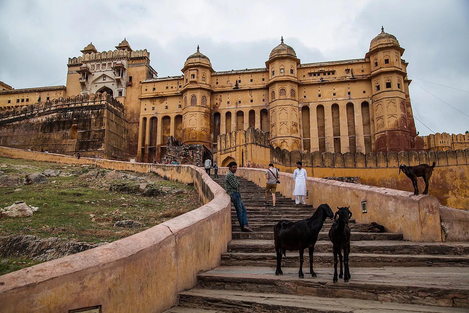 印度的冷知识有哪些,印度的冷知识13则