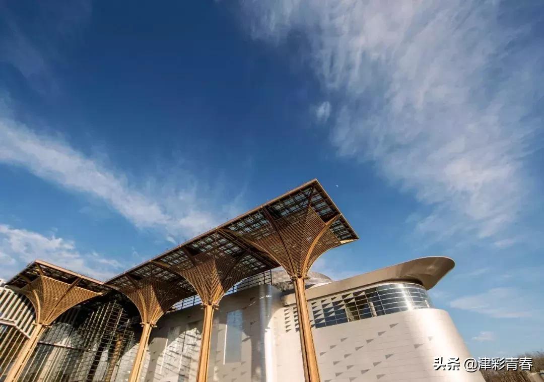 天津新文旅地标,天津文化中心建设照片