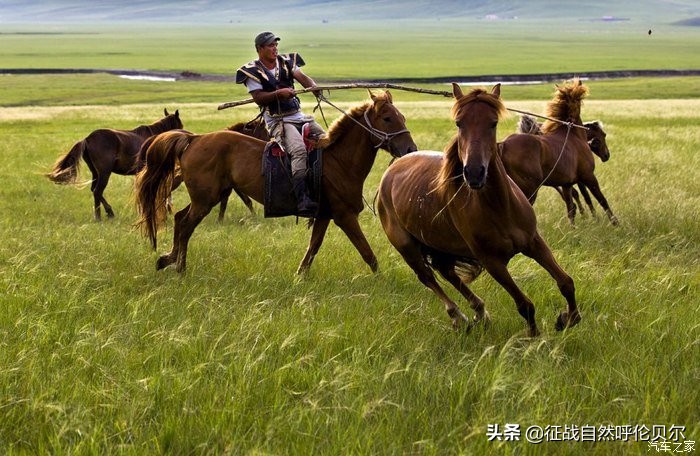 我来到你的城市走过你熟悉的街,我来到你的城市走过你走的路