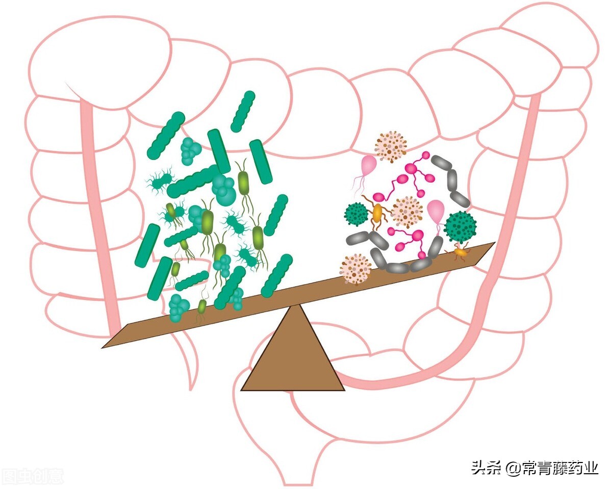 国家标准肠道益生菌,肠道专用益生菌哪种好用