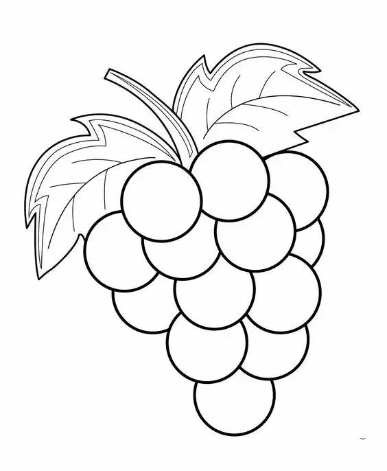 简笔画可爱蔬菜,简笔画简单易学幼儿蔬菜