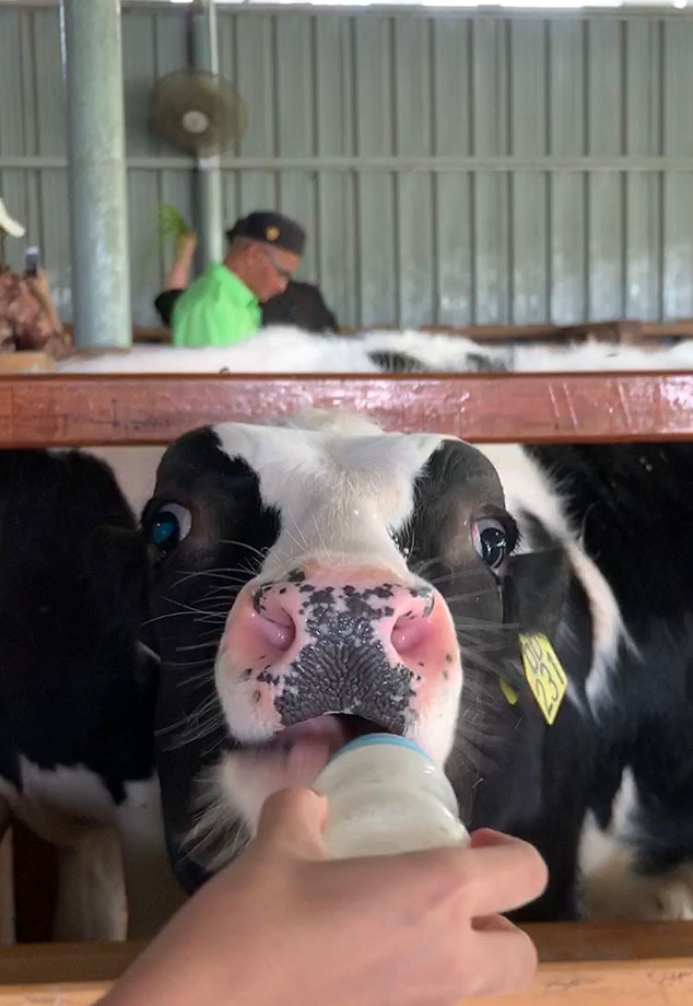 沙巴自由行超详细攻略 (沙巴攻略详细介绍)