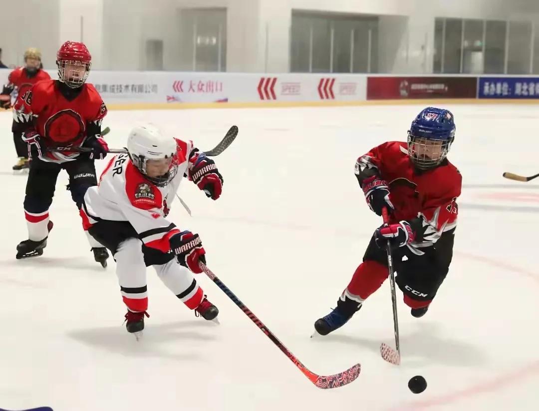 湖北省冰球锦标赛,第四届中国青少年冰球联赛武汉