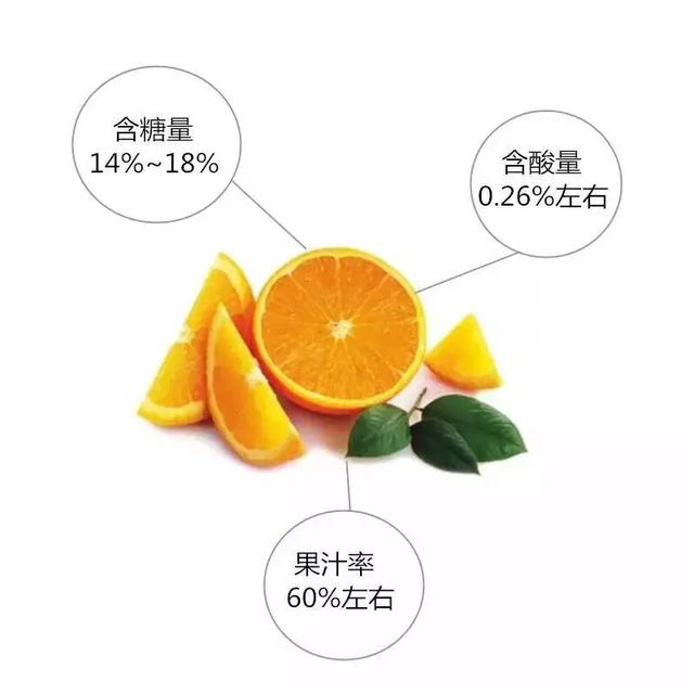 湖南麻阳苗族自治县冰糖橙之乡,麻阳苗族自治县冰糖橙果园