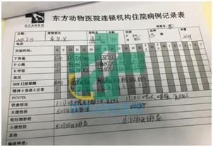 楂樼骇鍔ㄧ墿鍖荤敓,椤剁骇鍔ㄧ墿鍖荤敓