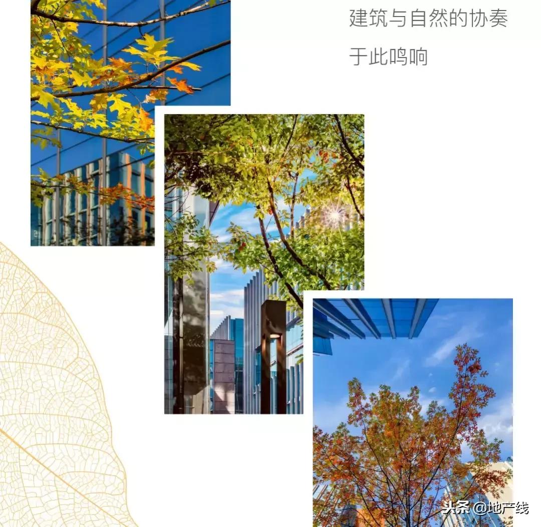 秋景鉴赏，开启多元生活上海中骏广场