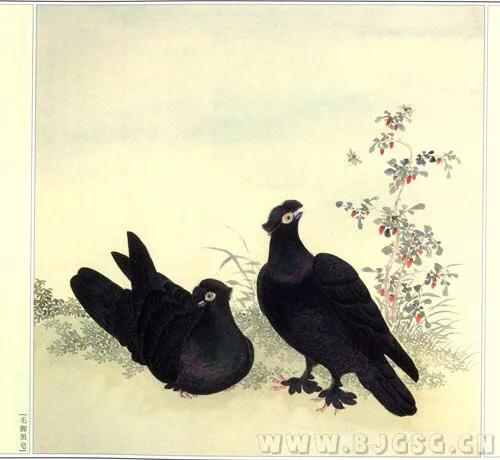 北京鸽哨制作,北京鸽哨晨曲