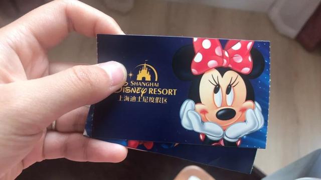 在迪士尼拍到的怪事,迪士尼董事长薪水是普通员工911倍