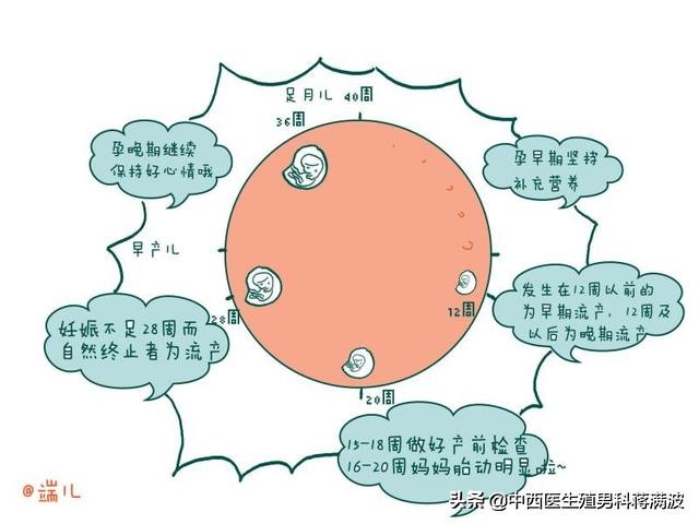 复发性流产常见的4种原因,复发性流产五大健康标准