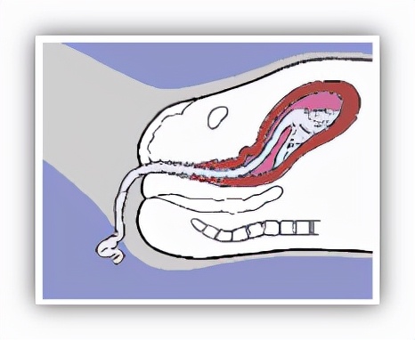 分娩是女性身心的重要的转折点,女性分娩到底要经历什么