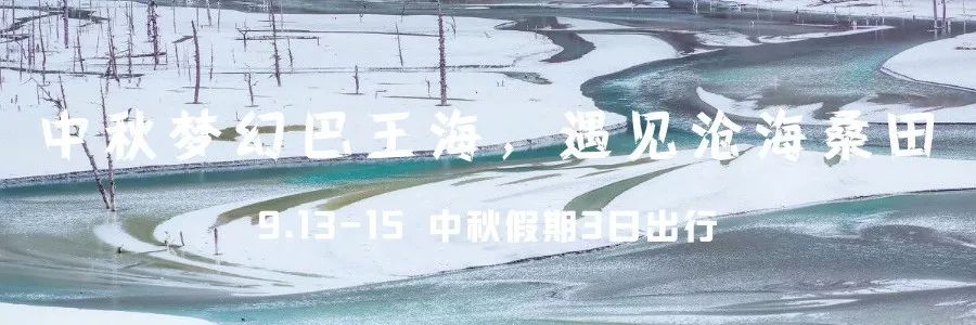 只要你面朝青海湖，八月仍然春暖花开