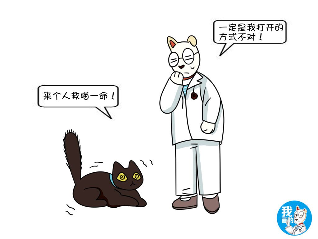 给猫驱虫项圈,猫戴驱虫项圈有用吗