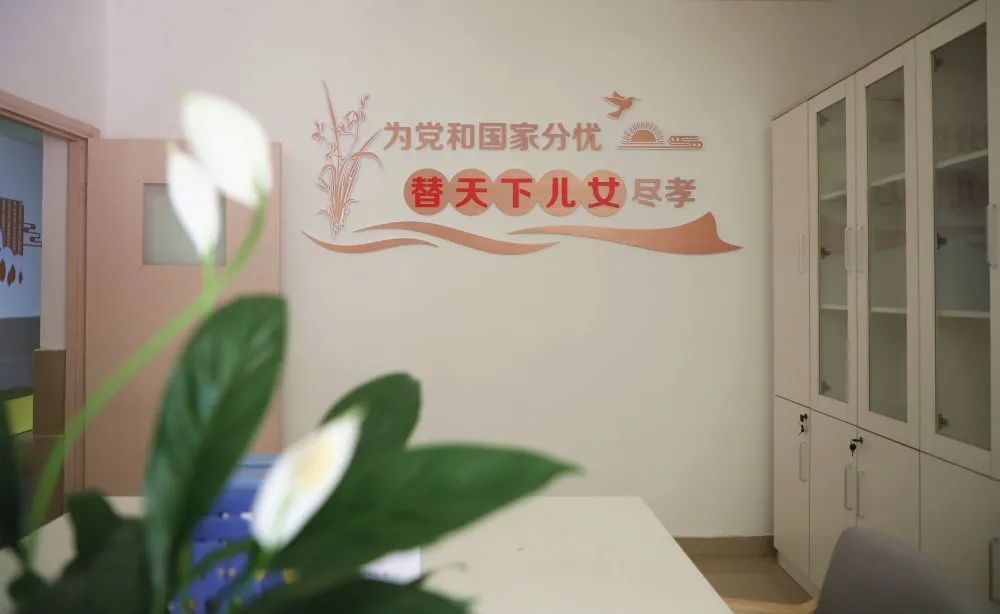 新津县公立卫生院,成都市医疗卫生服务体系规划