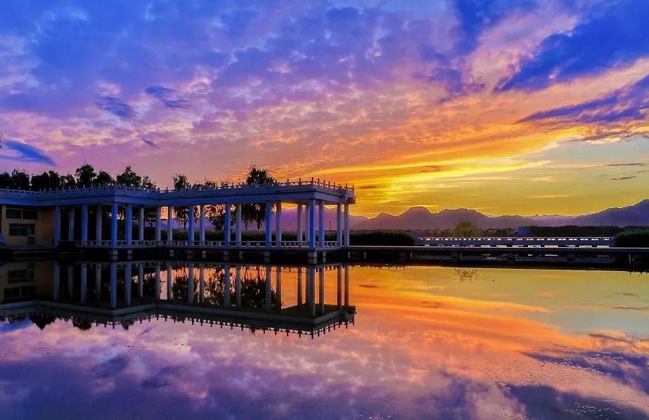 北京丰台五一旅游最佳去处,丰台区赏花景点