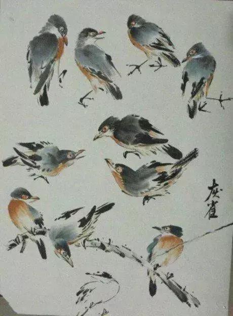 写意花鸟配景石的画法,干货写意花鸟类的画法