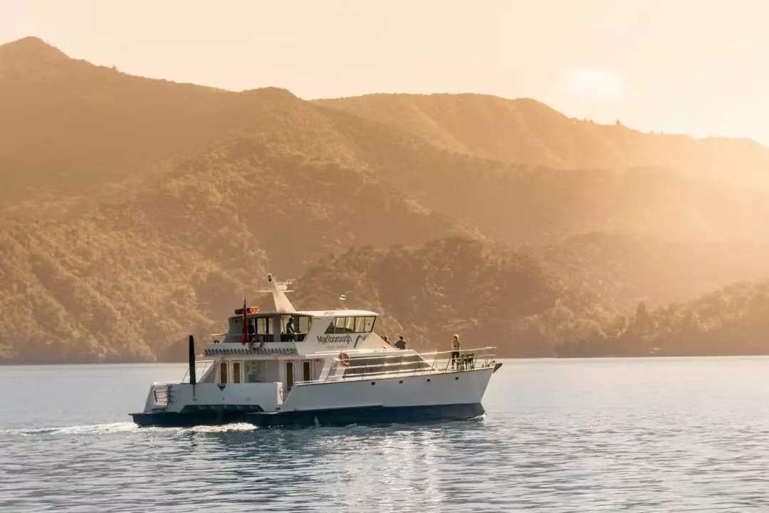 新西兰美食100种,哪里有新西兰水果