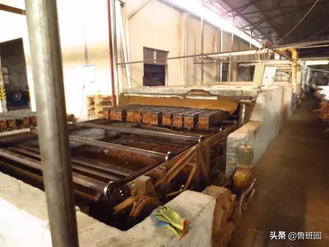 竹子怎么变异成龟甲竹,看竹子挖笋技巧
