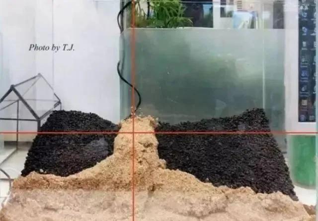 本色水景雨林,本色水景假山