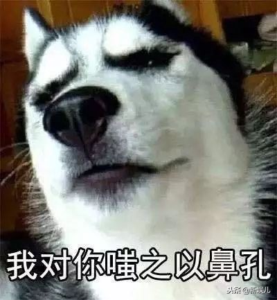 新娱儿追个星，还被非法拘禁，WTF!!