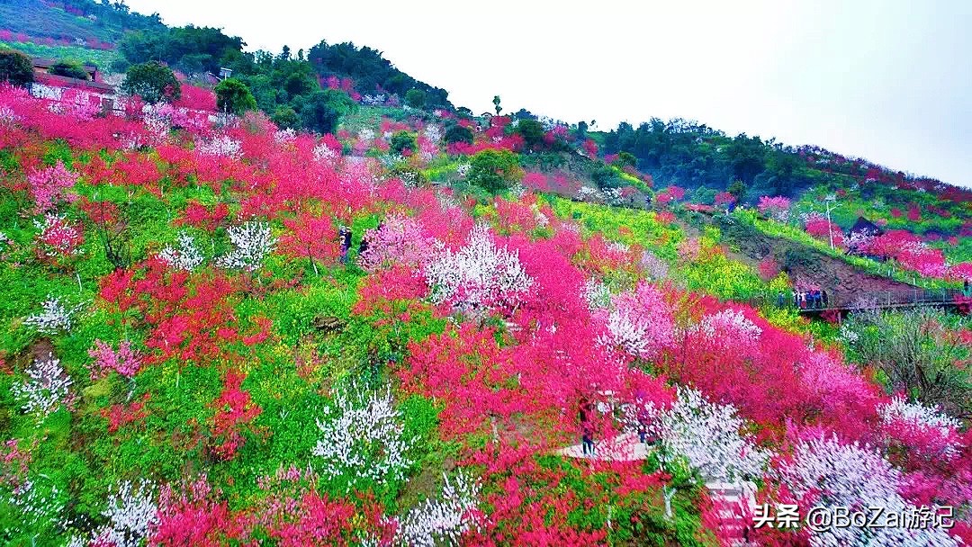 广西乡下田园最美风景图片,广西十大最美风景区