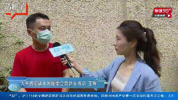 上海小区自行修树,上海小区大树被修剪成光秃秃的