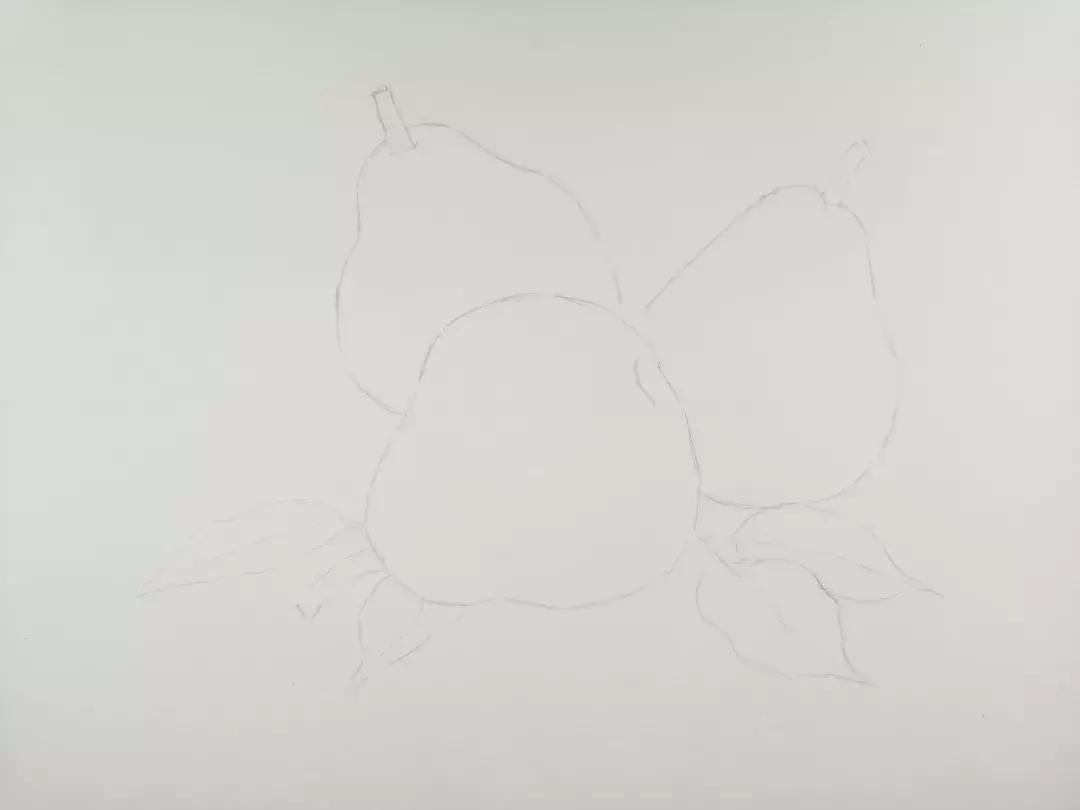 香梨彩铅画,彩铅肉肉的画法