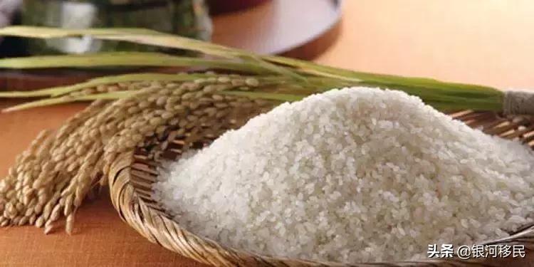 去香港要关注什么避免罚款,最新香港出入境禁带物品