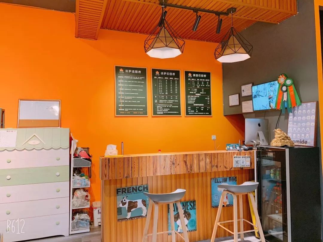 宠物店办理会员卡一般哪个系统,宠物店会员卡服务流程