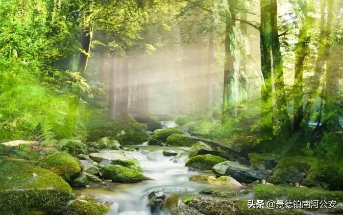 江浙诗友会雅集|三春丽景三春醉，一院清香一院诗