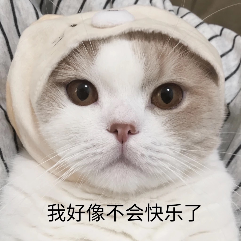 猫咪呕吐怎么办可以喂猫粮吗,猫咪呕吐怎么办用家庭食物解决