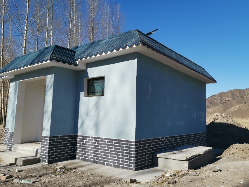 新生榆钱种子发芽,舒兰县榆树沟