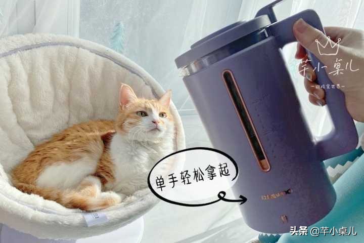 冬天送父母哪些厨房用品合适,春节厨房小家电推荐