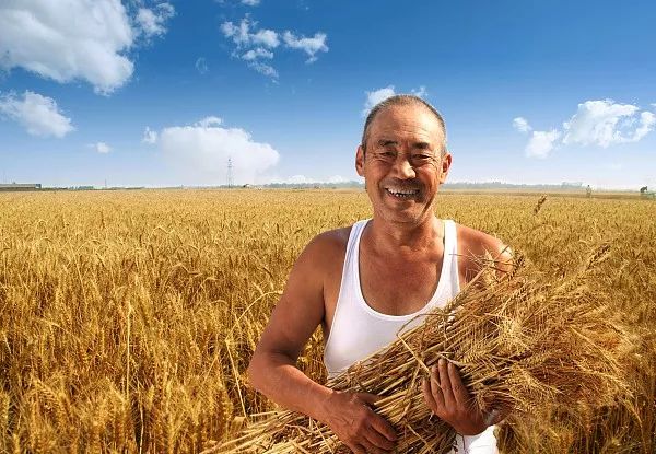 投资农业失败怎么办,想投资一个农业需要关注什么