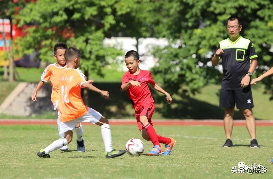 区中小学足球联赛,体教融合杯中学篮球赛