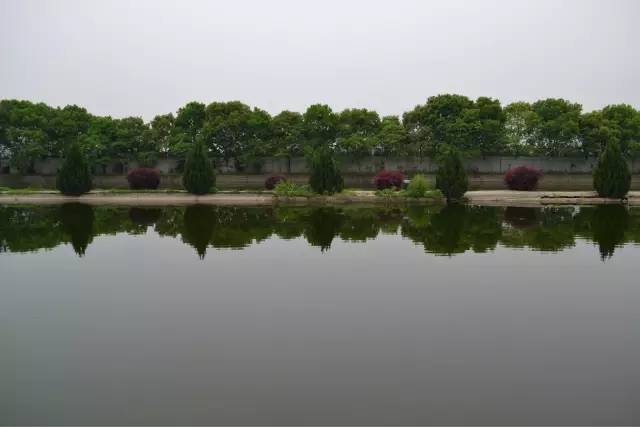 湖南最好的锦鲤养殖基地,湘潭锦鲤养殖