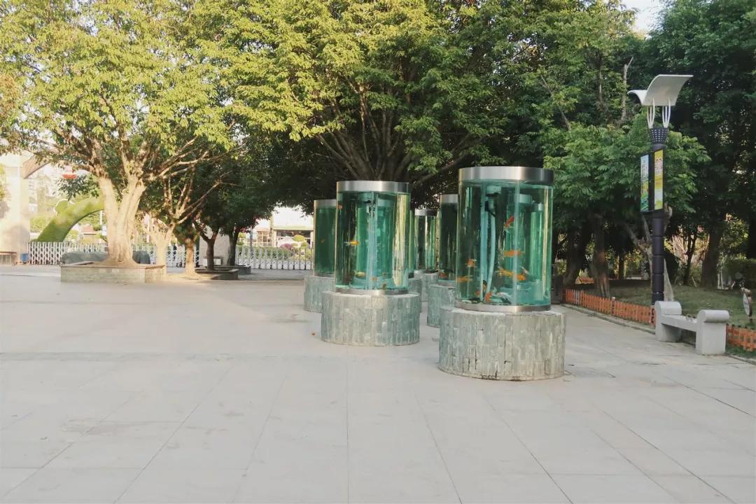 在动物园漫步才是正经事|暴走福州